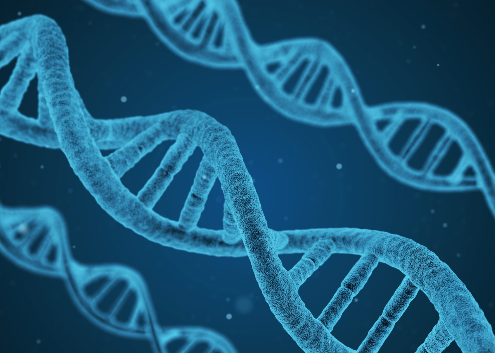 De dubbele helix: de wereldberoemde vorm van DNA